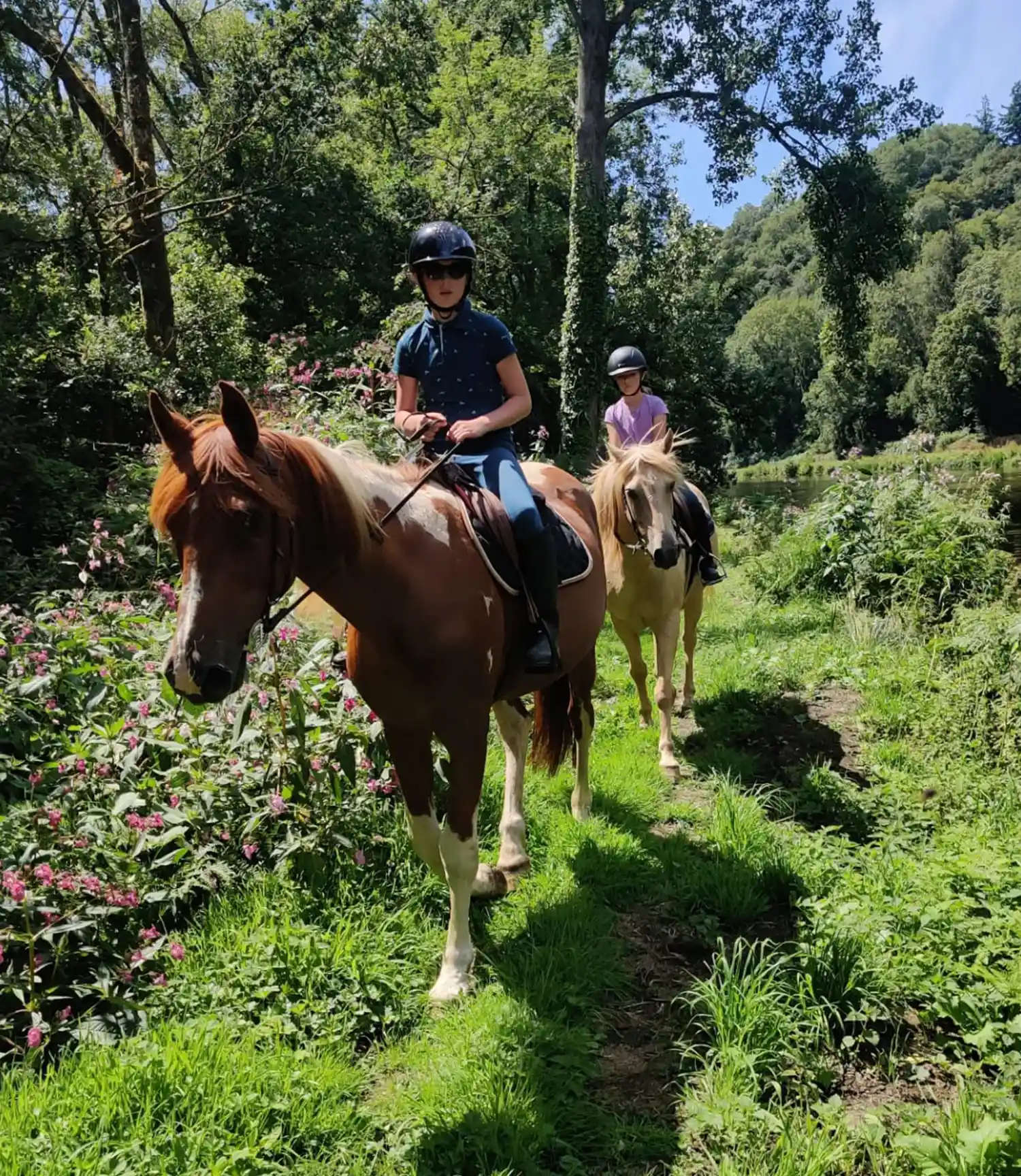 Que vous soyez à la recherche de cours particuliers, collectifs, de balades à cheval, de concours ou de stages, l'Écurie La Petite Bohème a une formule pour vous.