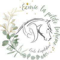 Centre équestre en Finistère | Ecurie La petite Bohème