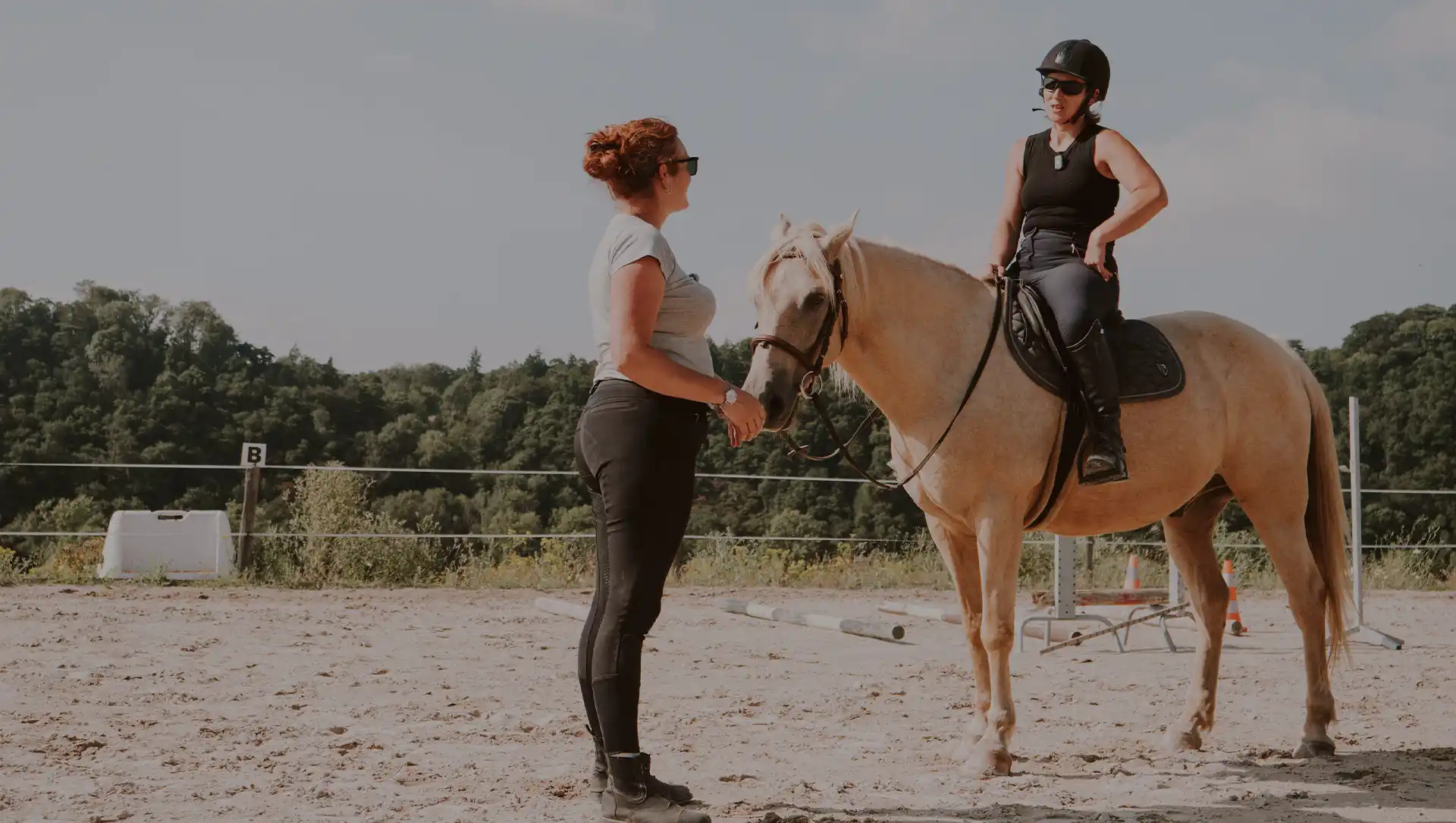 Écurie La Petite Bohème, école d'équitation douce à Saint-Coulitz, entre Quimper et Brest.
