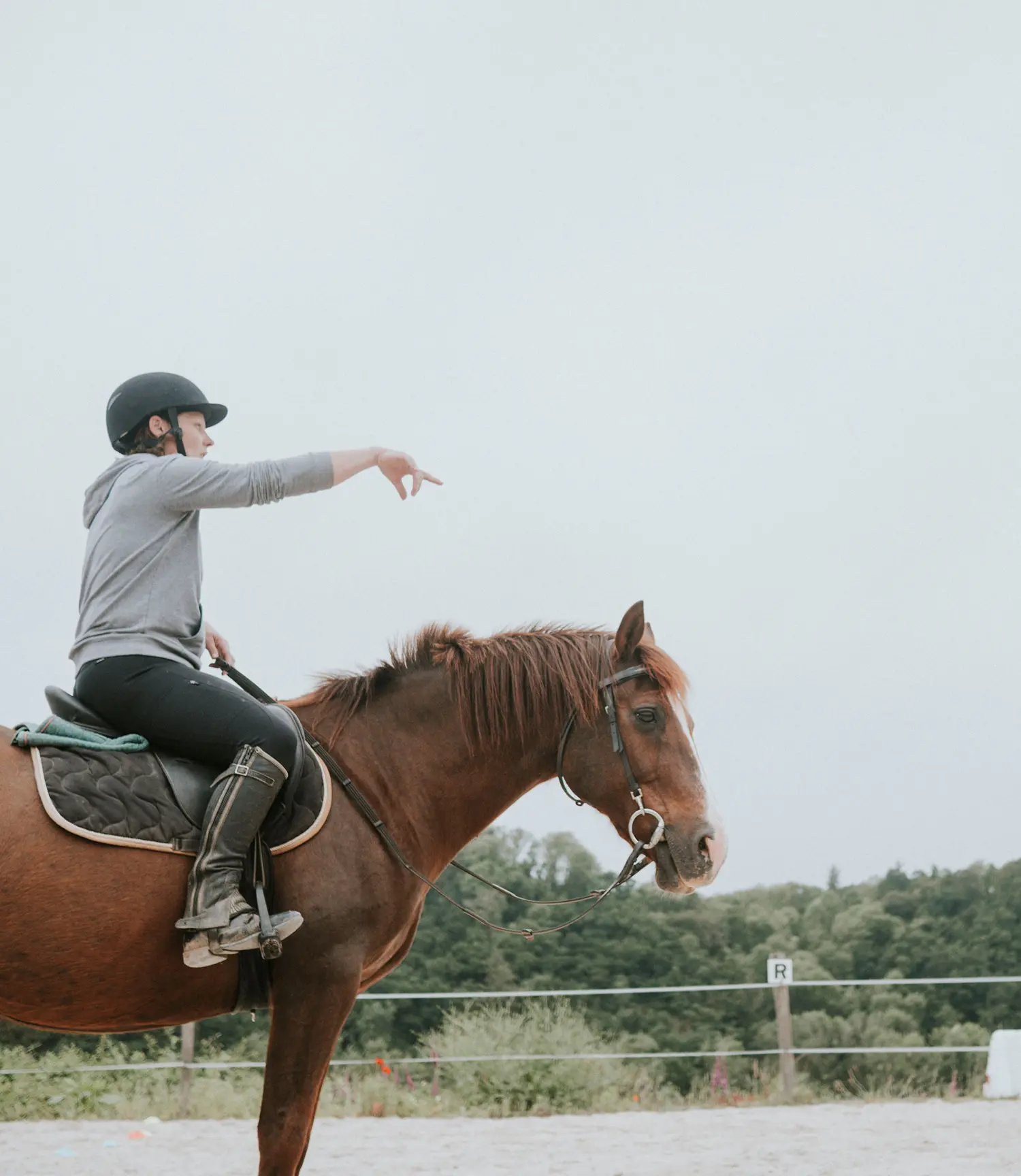 Maï Lamblé, formée par Véronique Bartin et Jean-Pierre Tiffon, vous propose de découvrir l’Équitation Alexander® entre Quimper et Brest.