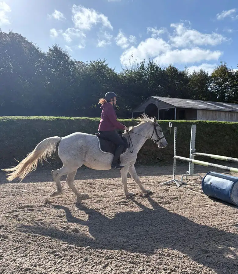 l'école d'équitation se décline sous trois piliers : technique, corporelle et relationnelle.